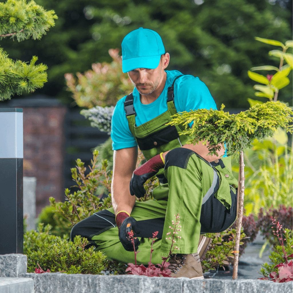 lawn care marketing